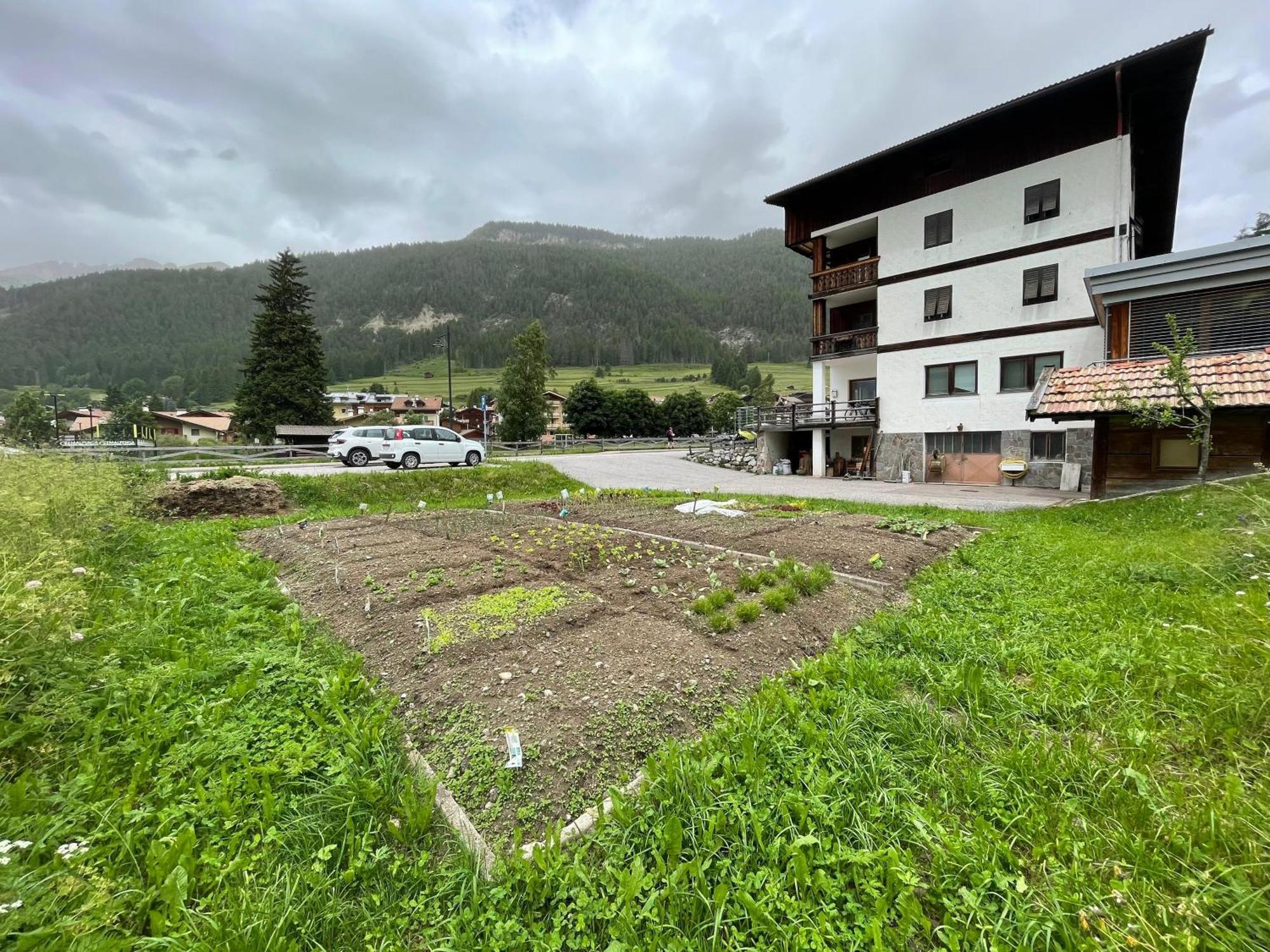 Apartment Terme Viola Pozza di Fassa